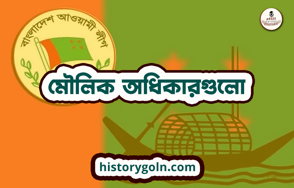 মৌলিক অধিকারগুলো